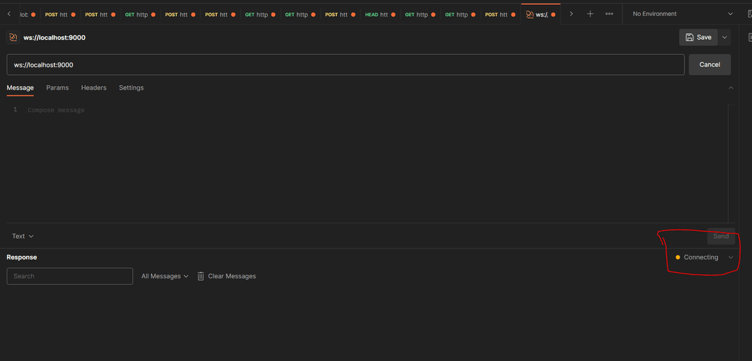 Sending Web Socket request on Postman